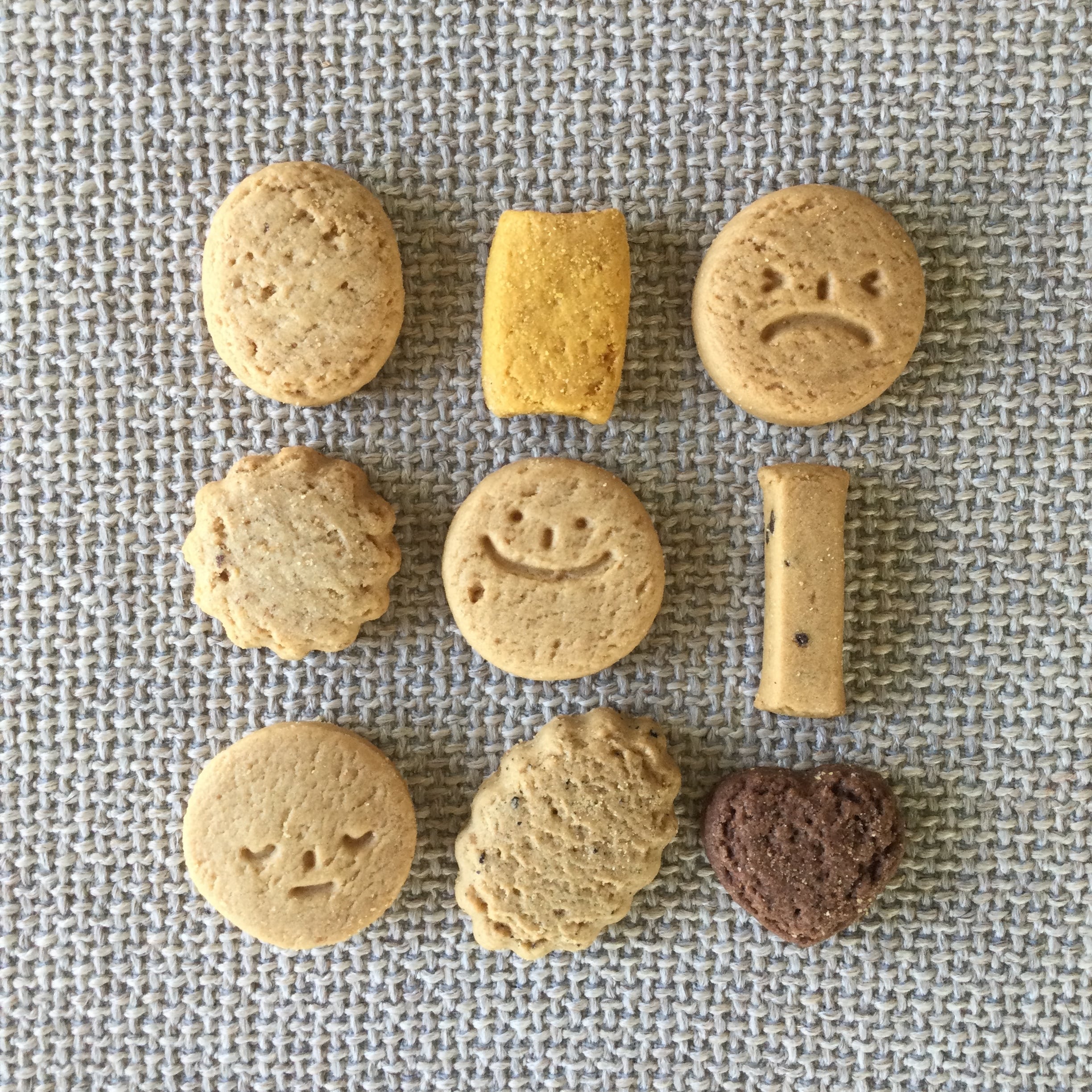 ナチュラルビーガン クッキー玄米 80g 【茎工房】【1〜6個はメール便300円】 mk01007-mkosko vegan ナチュラルヴィーガンクッキー ビーガン 動物性不使用 keiyushop-10004268 奈良恵友堂 サンプル画像3
