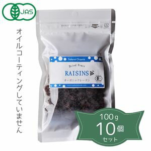 2004540-1-ms 【お取り寄せ商品】 オーガニック レーズン 100g×10個セット【桜井食品】