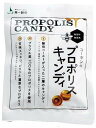 2053839-msコーボンのプロポリスキャンディ— 28g【第一酵母】【1〜2個はメール便300円】春夏