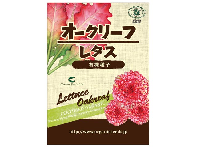 2063792-ms【取り寄せ商品】有機種子 オークリーフレタス＜0.25ml・約330粒＞【ナチュラルライフステーション】【1〜60個はメール便300円】
