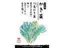 2063835-ms【取り寄せ商品】 国産自然農法種子 川島かき菜 約500粒【ナチュラルライフステーション】【1~60個はメール便300円】