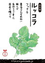 2063836-ms【取り寄せ商品】 国産自然農法種子 ルッコラ (フックラ)約400粒 【ナチュラルライフステーション】【1~60個はメール便300円】