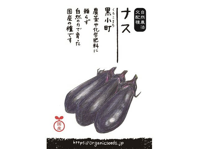 2063838-ms【在庫限り】 国産自然農法種子 ナス黒小町（交配種） ＜0.1ml・約15粒＞【ナチュラルライフステーション】【1〜60個はメール便300円】