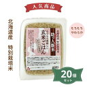 2021814-1-ms 助っ人飯米・玄米ごはん　160g×20個セット【ムソー】