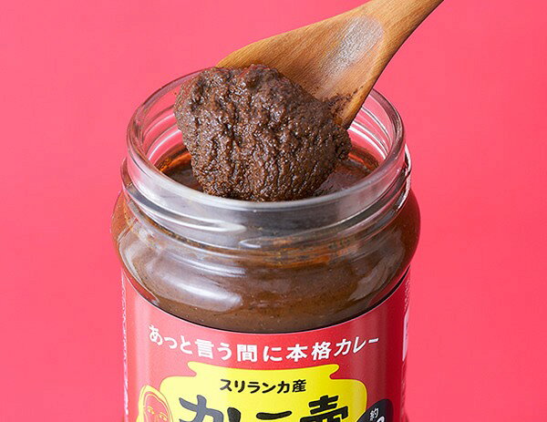 pa13-62-1-pr　カレーの壺　スパイシー 200g【プレス】【第3世界ショップ】 keiyushop-10015293 奈良恵友堂 サンプル画像2