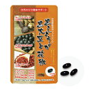 5000088-sh　黒しょうが黒大豆と花椒　45粒×5袋セット【佐藤薬品】【送料無料】