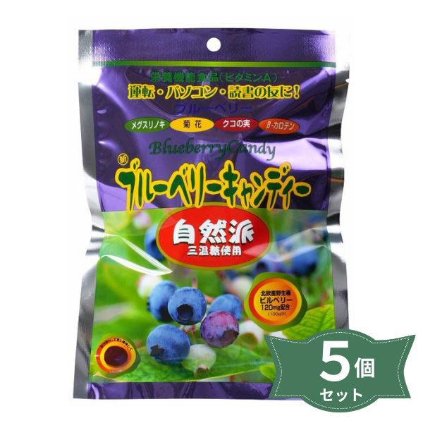 4161020-sk ブルーベリーキャンディー70g×5袋セット【健康プラザパル】