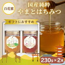 はちみつセットA (奈良産純粋やまとはちみつ 230g + 国産純粋蜂蜜 230g)【やまと蜂蜜】C-200-ya