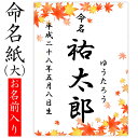 命名紙 用紙のみ デザイン命名紙（もみじ）【命名書台紙（大）専用】 赤ちゃん 命名書 命名紙 かわいい おしゃれ 代筆をお考えの方に人気 用紙 お七夜 命名式 お祝い ギフト 内祝い