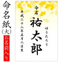 命名紙 用紙のみ デザイン命名紙（イチョウ）【命名書台紙（大）専用】 赤ちゃん 命名書 命名紙 かわいい おしゃれ 代筆をお考えの方に人気 用紙 お七夜 命名式 お祝い ギフト 内祝い