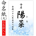 命名紙 用紙のみ デザイン命名紙（雪）【命名書台紙（大）専用】 赤ちゃん 命名書 命名紙 かわいい おしゃれ 代筆をお考えの方に人気 用紙 お七夜 命名式 お祝い ギフト 内祝い