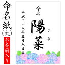 命名紙 用紙のみ デザイン命名紙（アジサイ）【命名書台紙（大）専用】 赤ちゃん 命名書 命名紙 かわいい おしゃれ 代筆をお考えの方に人気 用紙 お七夜 命名式 お祝い ギフト 内祝い