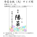 命名紙 用紙のみ デザイン命名紙（朝顔）【命名書台紙（大）専用】 赤ちゃん 命名書 命名紙 かわいい おしゃれ 代筆をお考えの方に人気 用紙 お七夜 命名式 お祝い ギフト 内祝い 2