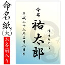 命名紙 用紙のみ デザイン命名紙（龍）【命名書台紙（大）専用】 赤ちゃん 命名書 命名紙 かわいい おしゃれ 代筆をお考えの方に人気 用紙 お七夜 命名式 お祝い ギフト 内祝い