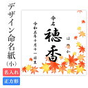 命名紙 用紙のみ デザイン命名紙(もみじ)【命名書台紙(小)専用】赤ちゃん ベビー 命名書 命名紙 かわいい おしゃれ 代筆をお考えの方に人気 内祝い プレゼン...