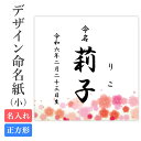 命名紙 用紙のみ デザイン命名紙(梅)【命名書台紙(小)専用】赤ちゃん ベビー 命名書 命名紙 かわいい おしゃれ 代筆をお考えの方に人気 内祝い プレゼント ...