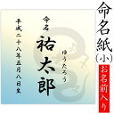 命名書 用紙のみ デザイン命名紙（龍）【命名書台紙（小）専用】赤ちゃん 命名書 命名紙かわいい おしゃれ 代筆をお考えの方に人気用紙 お七夜 命名式 お祝い