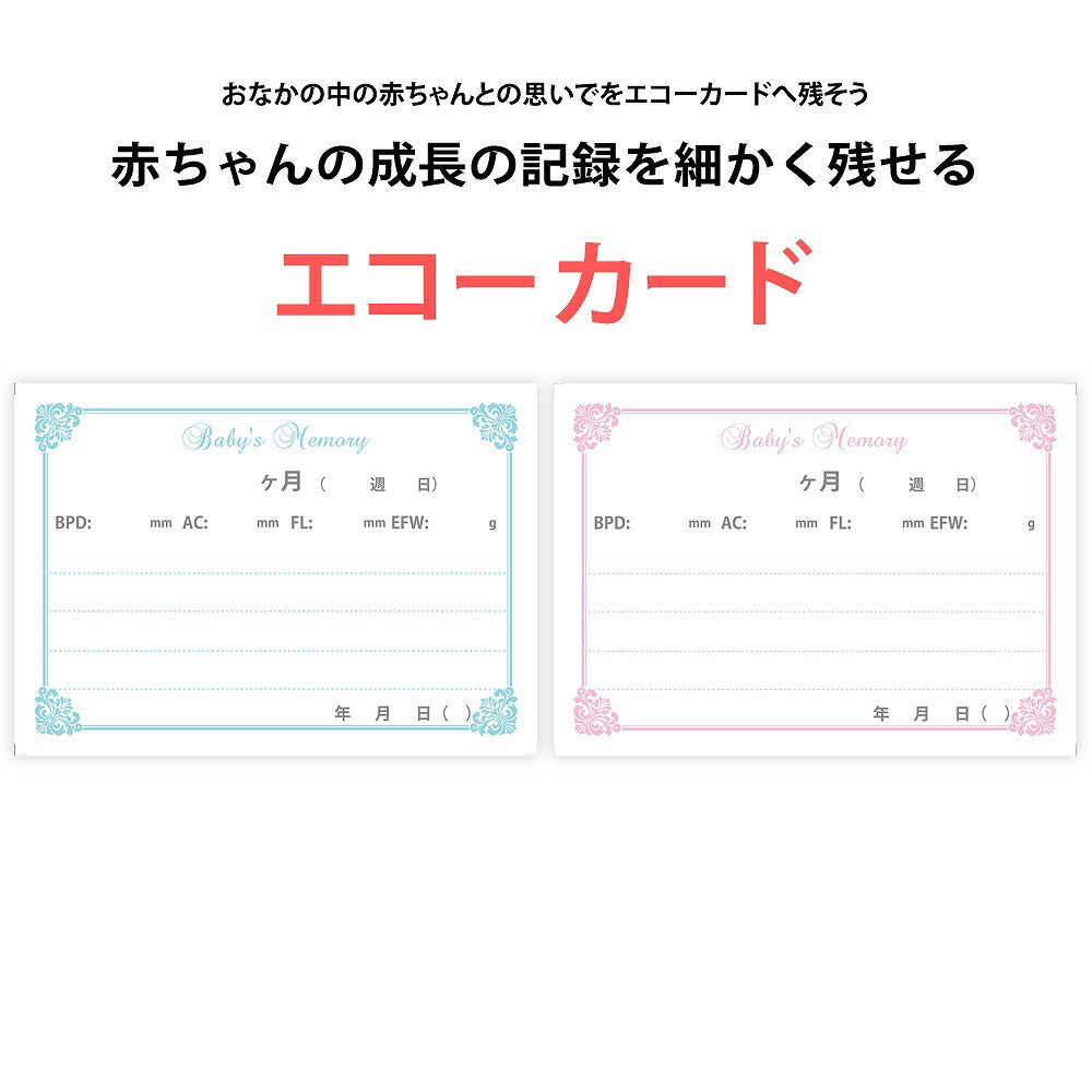 エコーカード 写真アルバム用エコーアルバム作りに!コメント書き込み用の育児カードです大容量リング式ポケットアルバム専用ですおなかの中の赤ちゃん成長記録