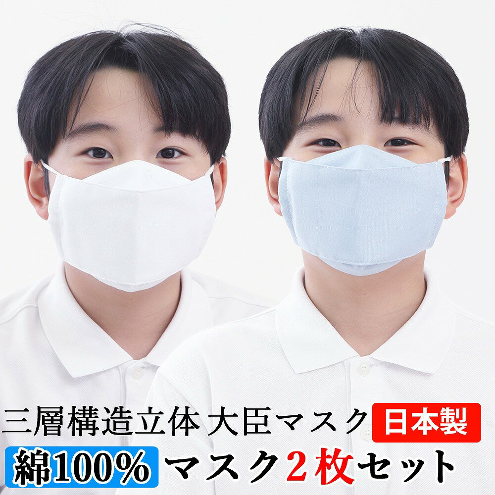 マスク 子供 大臣マスク 日本製 2枚セット 綿100％ 送