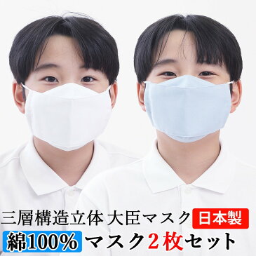 マスク 子供 大臣マスク 日本製 2枚セット 綿100％ 送料無料【水色・白】立体マスク フィルターポケット付き 舟形 花粉 PM2.5　黄砂 インフルエンザ　アレルゲン ウイルス ハウスダストスギ ヒノキ 給食子供用立体マスク 立体 ハンドメイド 手作り