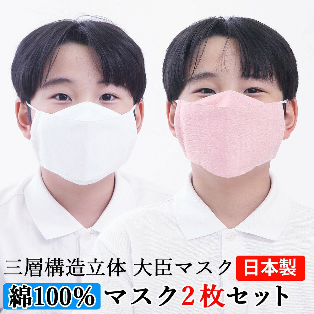 マスク 子供 大臣マスク 日本製 2枚セット 綿100％ 送