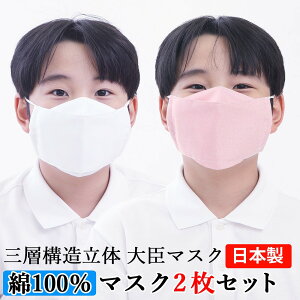 マスク 子供 大臣マスク 日本製 2枚セット 綿100％ 送料無料【ピンク・白】立体マスク フィルターポケット付き 舟形 花粉 PM2.5　黄砂 インフルエンザ　アレルゲン ウイルス ハウスダストスギ ヒノキ 給食子供用立体マスク 立体 ハンドメイド 手作り