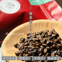 コーヒー豆 珈茶話 1982 マイルド ブレンド 200g 中深煎り コーヒー 珈琲 豆 粉 珈琲豆 コーヒー粉 珈琲粉 自家焙煎 珈琲 老舗 人気 ギフト ア...