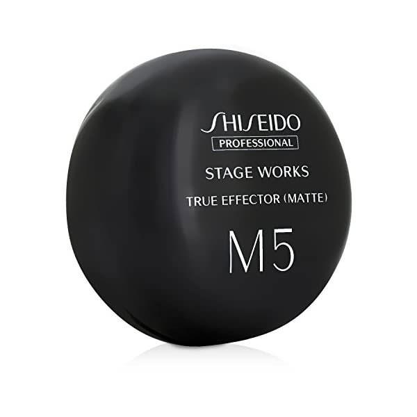 【対象商品PT10倍開催中】 資生堂プロフェッショナル ステージワークス トゥルーエフェクター マット 80g 【送料無料】【最安値挑戦中】