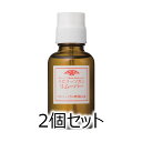 三善 みつよし ミツヨシ スピリッツガムリムーバー 33ml 2個セット (化粧品 舞台化粧品 日本舞踊 日舞 メディカルメイク ハロウィン クリスマス イベント)