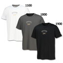 ゴールドシリーズ 半袖Tシャツ 【CONVERSE|コンバース】バスケットボールウェアーcbg241351