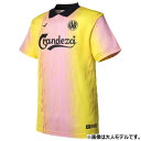 【ポイント15倍】ジュニア Kemari87別注 グラフィックプラシャツ 【FINTA|フィンタ】サッカーフットサルジュニアウェアーftk7725j