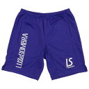 【ポイント15倍】ジュニア シンプル スタンダード プラパンツ パープル 【LUZ e SOMBRA|ルースイソンブラ】サッカーフットサルジュニアウェアーf19...