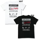 【8/24AM10時からポイント10倍】ジュニア ローカルサポート 半袖Tシャツ 【LUZ e SOMBRA|ルースイソンブラ】サッカーフットサルジュニアウェア...