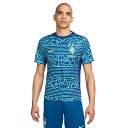 【ポイント10倍】ブラジル代表 DF ACDPR 半袖トップ PM ライトレトロ 【NIKE|ナイキ】ナショナルチームウェアーfj2723-445