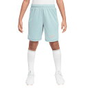 【ポイント10倍】ジュニア DF アカデミー 25 ショート K 7IN PD オーシャンキューブ 【NIKE|ナイキ】サッカーフットサルジュニアウェアーhj3...