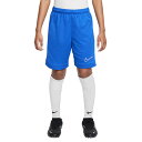 【ポイント10倍】ジュニア DF アカデミー 25 ショート K 7IN PD ゲームロイヤル 【NIKE|ナイキ】サッカーフットサルジュニアウェアーhj371...