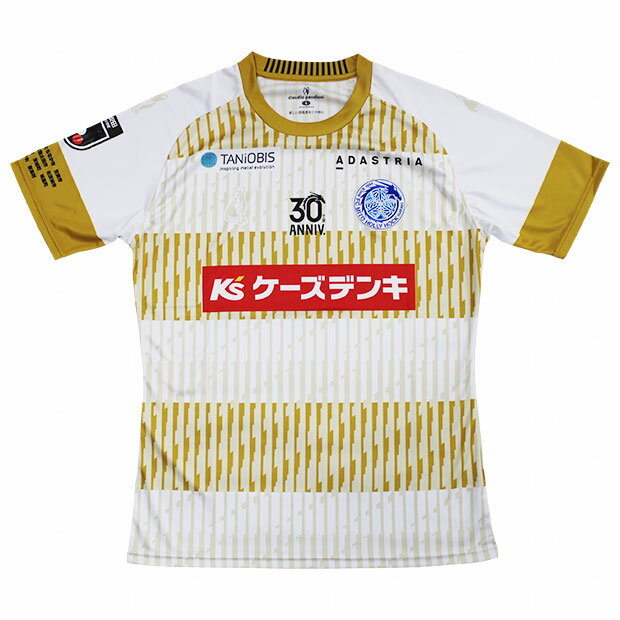 PJ-657738-03-M プーマ TEAMLIGA ミドルダウンコート（プーマブラック・サイズ：M） PUMA