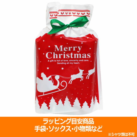 クリスマスラッピング 小 リボン付き special-0119
