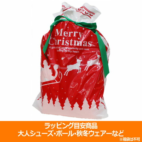 【11/20-11/26 ポイント15倍】クリスマスラッピング 大 リボン付き special-0121