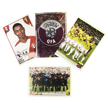 PANINI COPA AMERICA BRASIL 2019 ステッカー クラブチームアクセサリーpanini2019cop