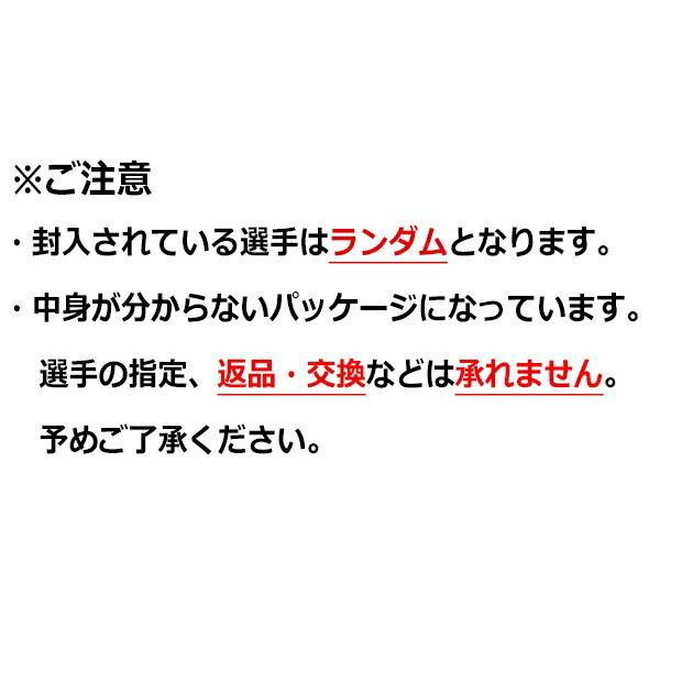 サッカー日本代表 プレーヤーズ缶バッジ サッカー日本代表アクセサリーoo4-814通販 サッカー 用品 セール