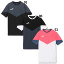 【5/1 ポイント10倍】INDIVIDUAL RETRO TR 半袖シャツ　【PUMA|プーマ】サッカーフットサルウェアー658826