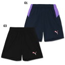 【ポイント10倍】INDIVIDUALFTBL PRO TR ショーツ 【PUMA|プーマ】サッカーフットサルウェアー659755