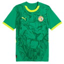 【ポイント15倍】セネガル代表 2025 アウェイ 半袖レプリカユニフォーム 【PUMA|プーマ】ナショナルチームレプリカウェアー777166-03