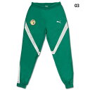 【ポイント15倍】セネガル代表 PM ウーブンパンツ 【PUMA|プーマ】ナショナルチームウェアー777174