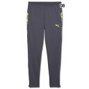 【ポイント10倍】ジュニア INDIVIDUALCUP TR パンツ 【PUMA|プーマ】サッカーフットサルジュニアウェアー660187