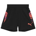 【ポイント10倍】ジュニア INDIVIDUALCUP ショーツ プーマブラック 【PUMA|プーマ】サッカーフットサルジュニアウェアー660203-07-1