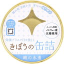 きぼうの缶詰 鯖水煮180g【ノルウェー産大鯖使用 無添加 国内製造 鯖缶 水煮 鯖水煮缶 さば】【同梱におすすめ】【鯖缶】【非常食にもおすすめです】<父の日プ...