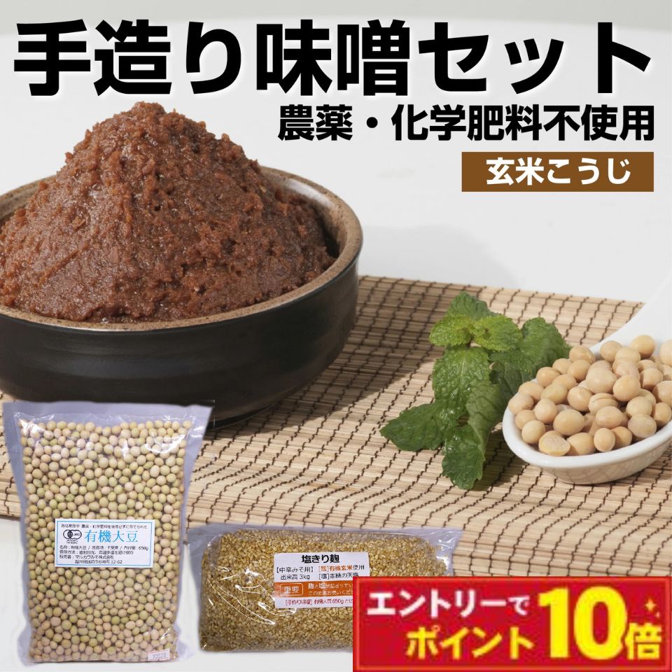 無農薬 有機栽培使用 手作り味噌セット 〈玄米麹〉 出来上がり3kg 容器付き（チャック袋）無添加味噌作り 玄米味噌 味噌づくりキット 仕込み用容器あり 手作り みそ ミソ 味噌 有機味噌 有機大豆 有機栽培米 無添加 米麹のサムネイル