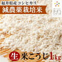 三七味噌の生米麹 1kg 減農薬栽培米 福井県産 コシヒカリ1kg きぼうの米こうじ 味噌作り 甘酒 麹水 生米麹 国産米使用 米麹 ノンアルコール 無添加 甘酒 無添加 米麹 乾燥 米こうじ 国産 こめ麹 甘酒 乾燥麹 米 麹 こうじ水 あまさけ その1